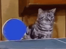 Salem button
