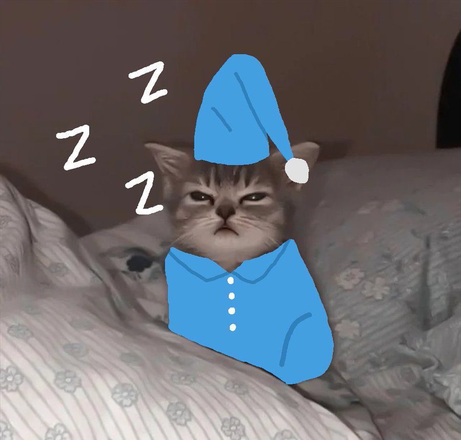 eppy cat